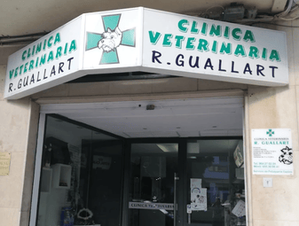 Landing CV RAQUEL GUALLART (4)